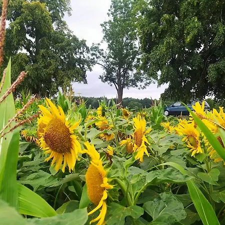 Bialy Kolo Zywca Holiday home