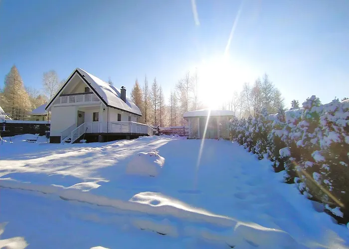 Bialy Kolo Zywca Pewel Wielka