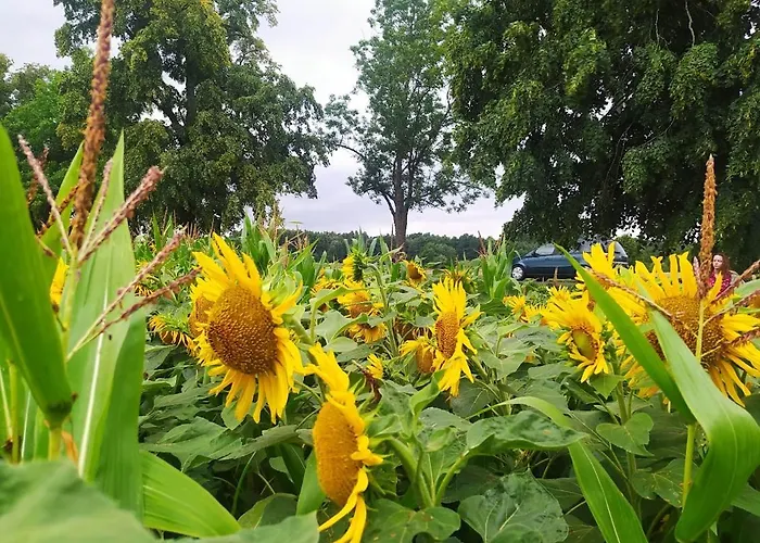 Bialy Kolo Zywca Holiday home